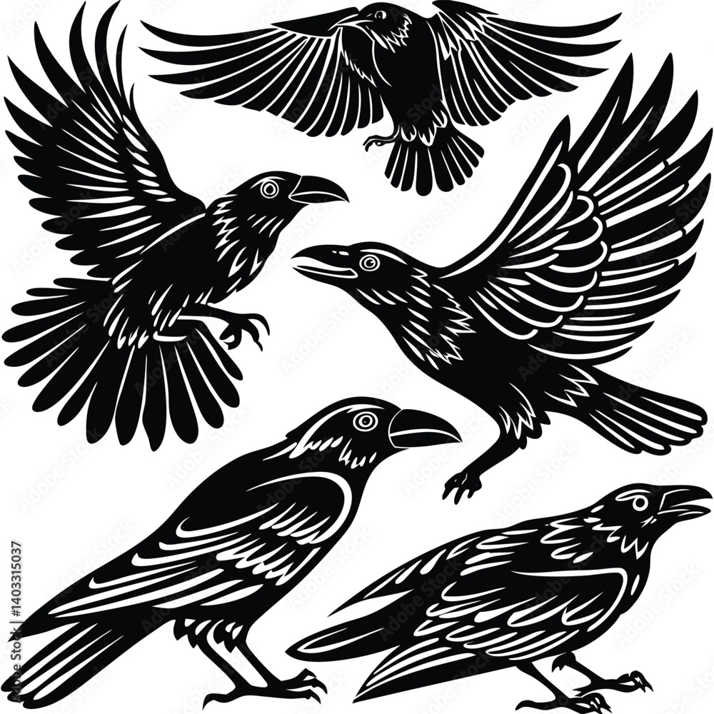 Fototapeta premium set-of-crow-silhouette-vector-image (6).eps