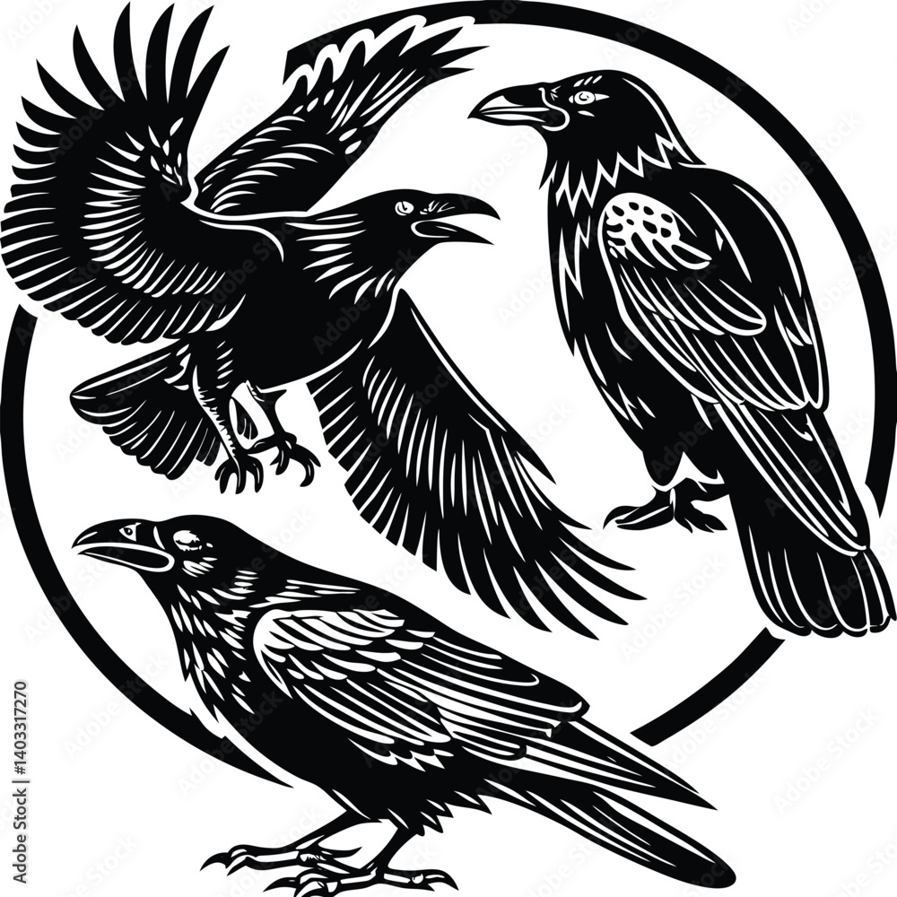 Obraz premium set-of-crow-silhouette-vector-image (28).eps