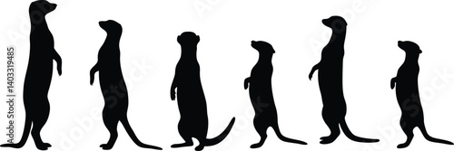 Beautiful and Detailed Vector Silhouette Set Featuring Alert Meerkats Standing and Sitting on Rocky Terrain with Unique Natural Postures in Minimalistic Black-and-White Style