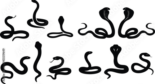 Collection of Highly Detailed Snake Vector Silhouettes Including Coiled, Slithering, and Hood-Expanded Postures in Black-and-White Style, Perfect for Creative Design, 