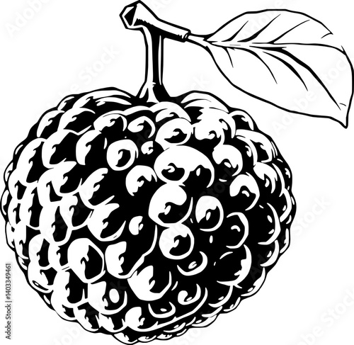 Monochrome Illustration Of A Single Cherimoya Fruit With Leaf