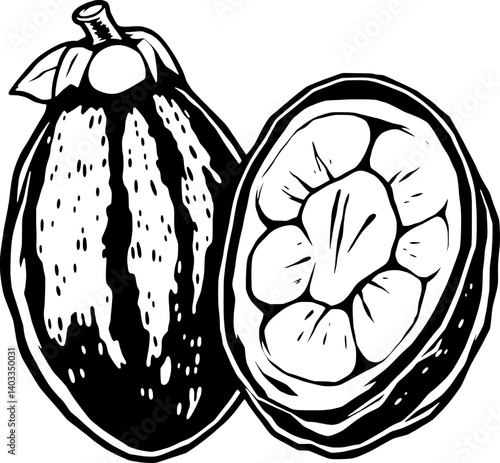 Detailed Illustration Of A Cacao Pod Whole And Halved Showing The Seeds Inside