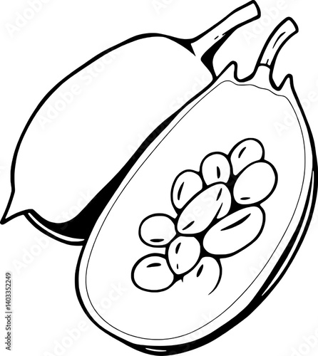 Line Drawing Of A Halved Calabash Showing Seeds Inside