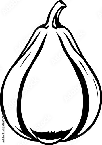 Simple Line Drawing Of A Single Bulb Of Garlic