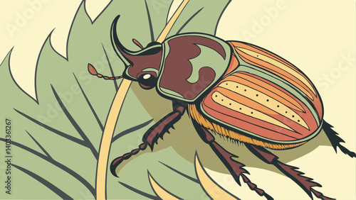 colorado potato beetle