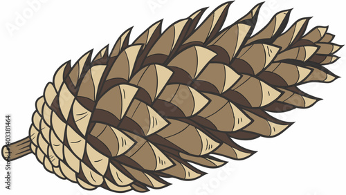 pine cones isolated on white