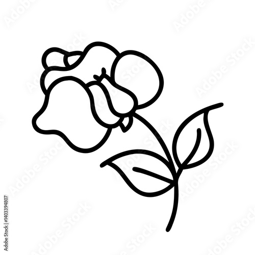 sweet pea flower line drawn vector art - illustration sweet pea flower isolated transparent background