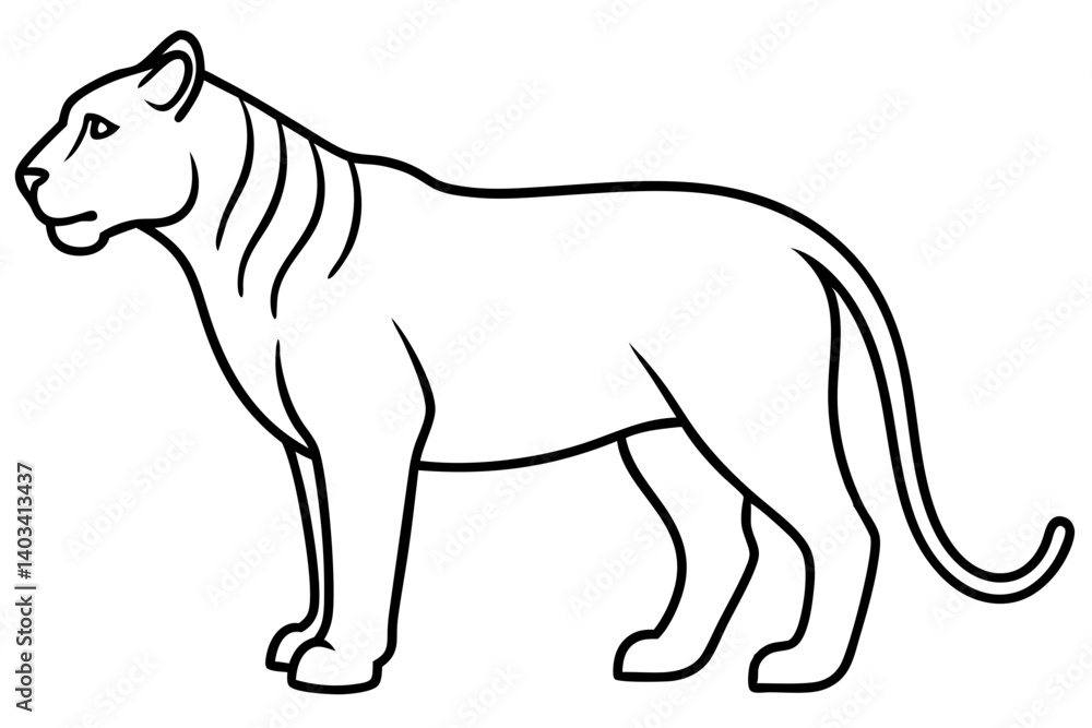 Obraz premium Liger Outline Vector