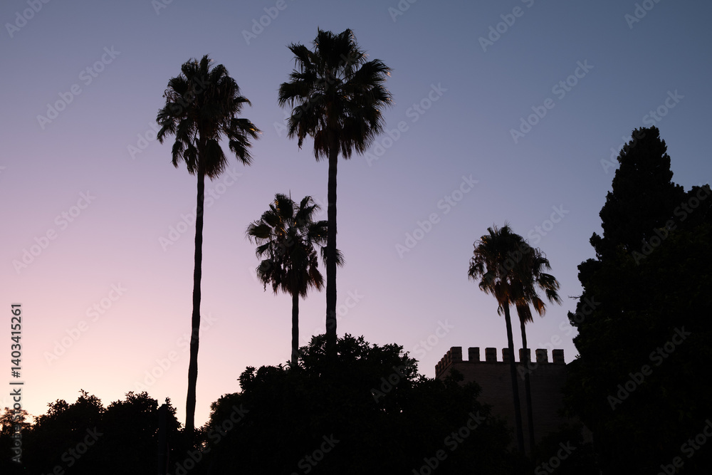 Obraz premium Panoramic at sunset of the palm trees in front of the Alcazar of the city of Jerez, in Cadiz, Spain. It is getting dark in pink and violet. There is a dramatic contrast between elements