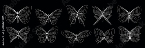 Abstract silhouettes of butterflies with white lines on a black background.eps