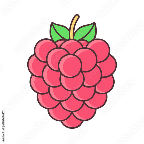 Isolated raspberry vector illustration, fresh raspberry fruit, raspberry drawing, healthy food, berry art