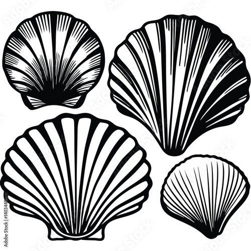 set-of-shell-collection-silhouette-shape-modes-vec (7).eps