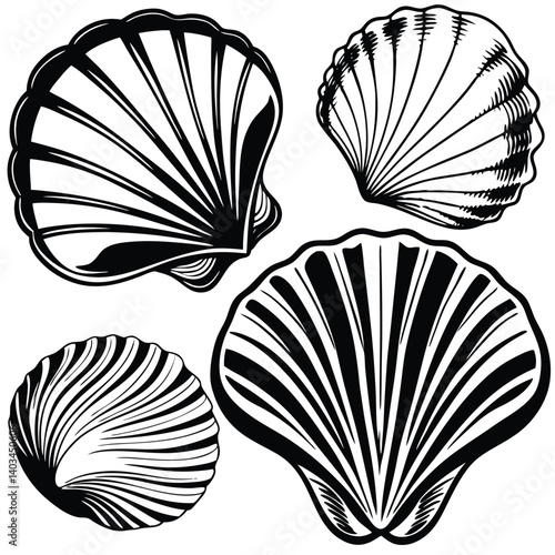 set-of-shell-collection-silhouette-shape-modes-vec (17).eps