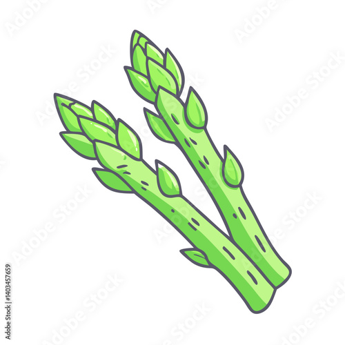 Fresh green asparagus spears vegetable illustration healthy eating spring harvest seasonal food drawing