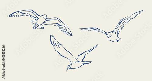 Flying seagulls hand drawn ink sketch. Set of three flying seagulls in vintage sketch style. Blue line art seagull birds vector illustration for marine themed designs, cards, and banners.