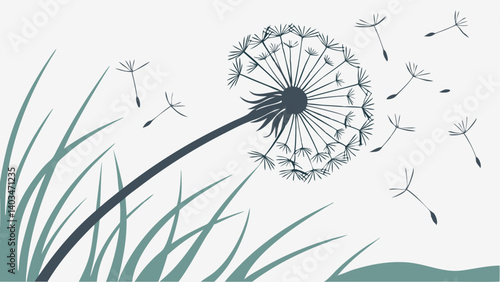 dandelion on a black background