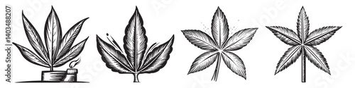 Vintage Botanical Illustrations of Various Leaf Designs and Shapes, logo design, engraving design, vector illustration