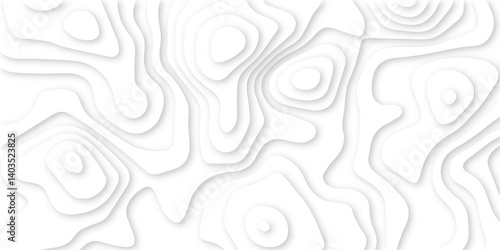 abstract elevation lines forming organic curved layers. white sculpted surface with soft shadow depth.  paper style design in clean white.