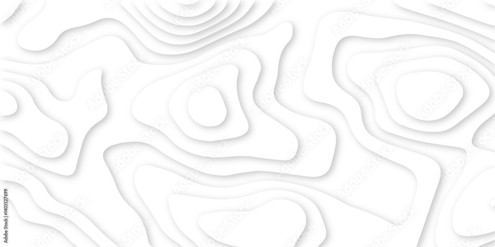 minimal 3d design using paper cut topographic style. stylized map contours in a layered white format. abstract shapes cut into subtle paper layers. minimal 3d design using paper cut topographic style. stylized map contours in a layered white format. abstract shapes cut into subtle paper layers.
