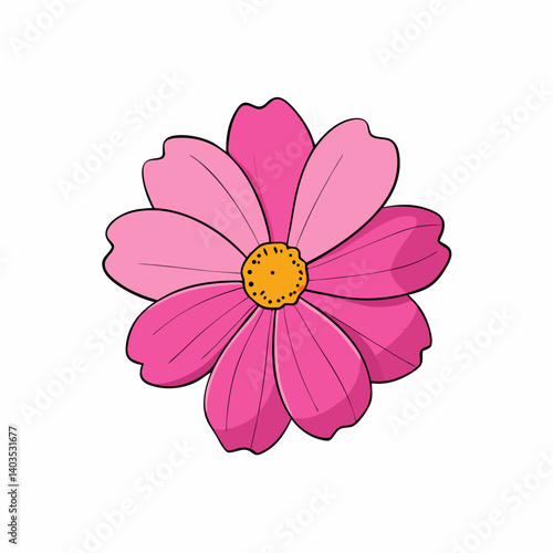 pink cosmos flower