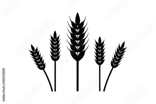 wheat ears isolated on white