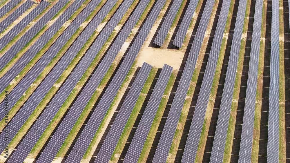 Solar panel farm showcases renewable energy generation in rural landscape Solar panel farm showcases renewable energy generation in rural landscape