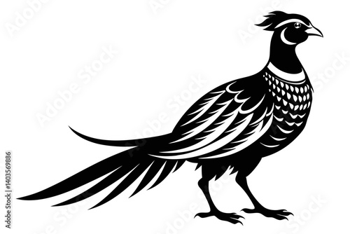 pheasant silhouette line art vector illustration with a white background