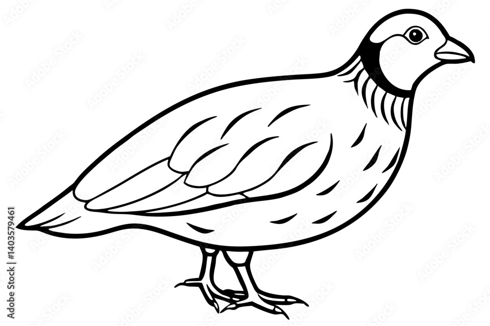 Fototapeta premium quail silhouette line art vector illustration with a white background