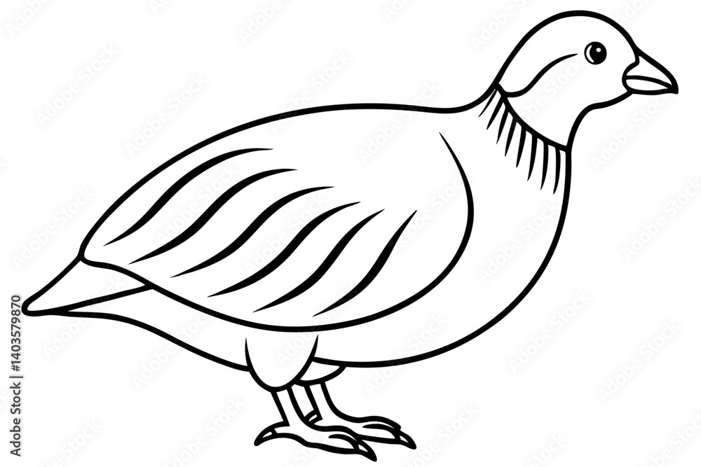 Fototapeta premium quail silhouette line art vector illustration with a white background