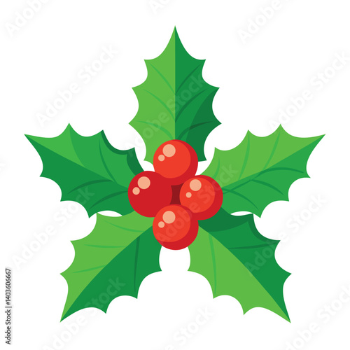 Christmas  holly  isolated on white background