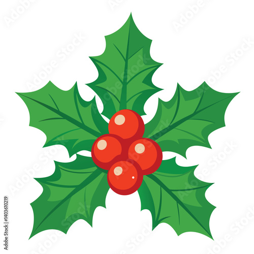 Christmas  holly  isolated on white background