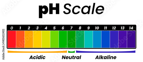Visual pH Scale Chart Illustrating Acidic, Neutral, and Alkaline Ranges