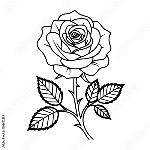 A black and white rose illustration line art of a coloring page