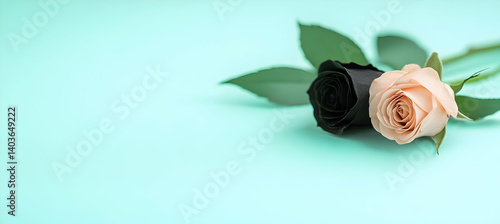 Obraz na płótnie Two Roses in Black and Peach with Green Leaves on Light Aqua Background for Romantic Floral Arrangement w salonie