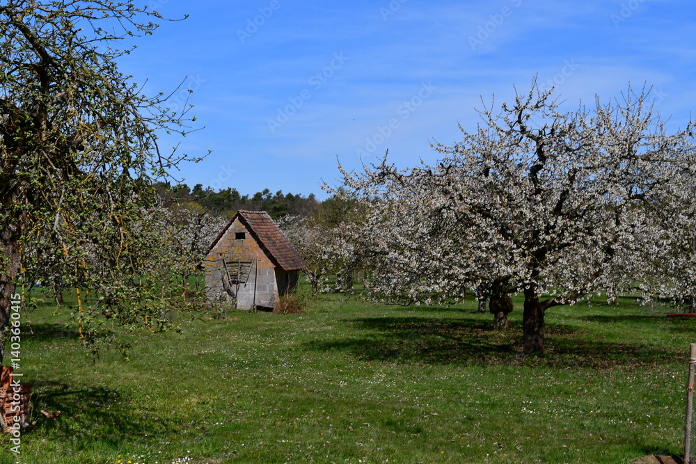 Schöne Landschaft zur Kirschblüte bei Kalchreuth in Franken