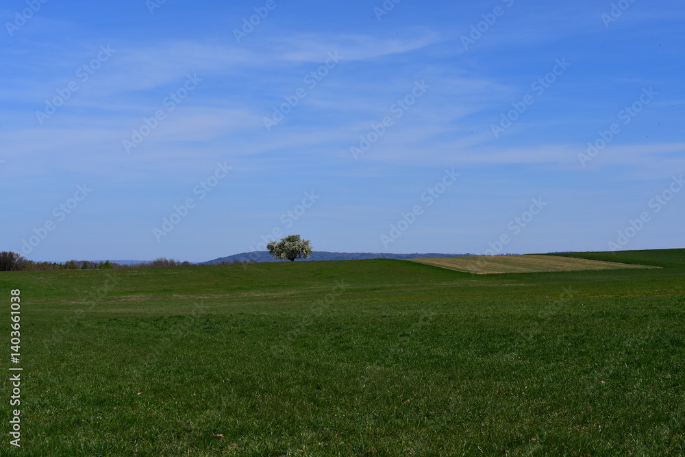 Schöne Landschaft bei Kalchreuth im Frühling