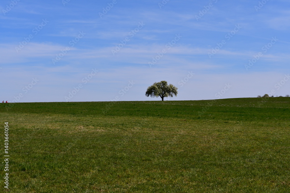 Schöne Landschaft bei Kalchreuth in Franken