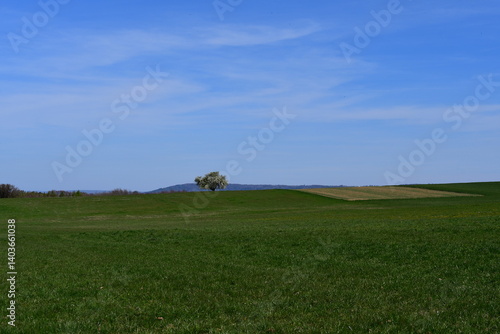 Schöne Landschaft bei Kalchreuth im Frühling