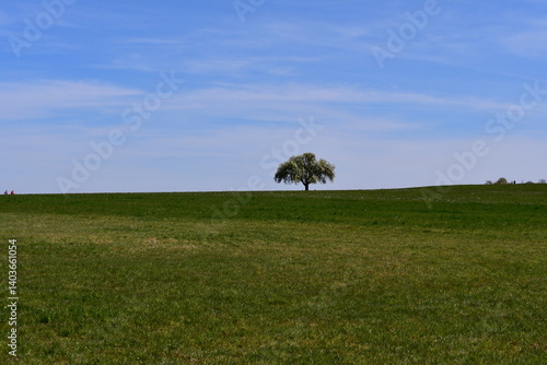 Obraz na płótnie Schöne Landschaft bei Kalchreuth in Franken w salonie