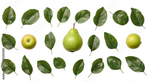 Wallpaper Mural Vibrant Green Fruit and Foliage Arrangement on a Deep Black Backdrop Torontodigital.ca