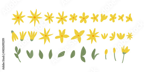 Collection of varous yellow flower buds and flowers. Vector flat botanical illustration of forsythia flower