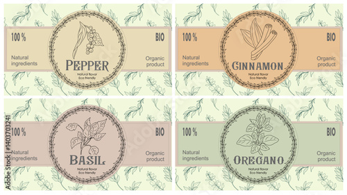 Vector set of spices food labels with hand drawn herbs sketches: pepper, basil, oregano, cinnamon. Packaging and labeling template, sticker pack. Organic, natural flavor, eco friendly, kitchen herbs. 