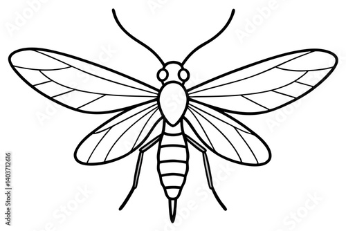 Mayfly Silhouette Sketch