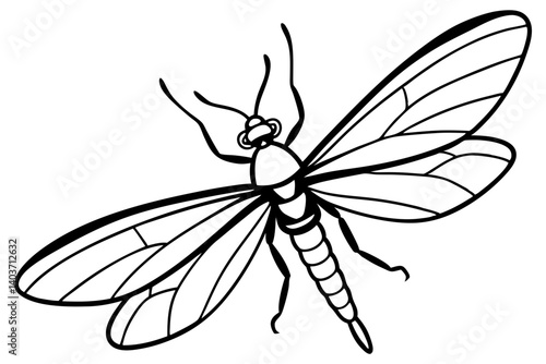 Mayfly Silhouette Sketch