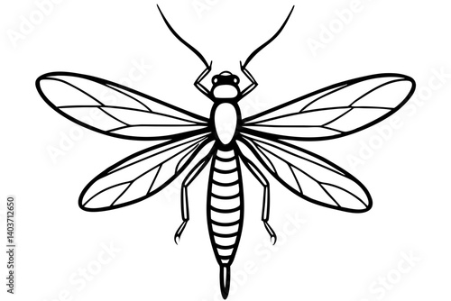 Mayfly Silhouette Sketch