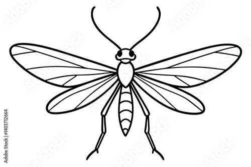 Mayfly Silhouette Sketch