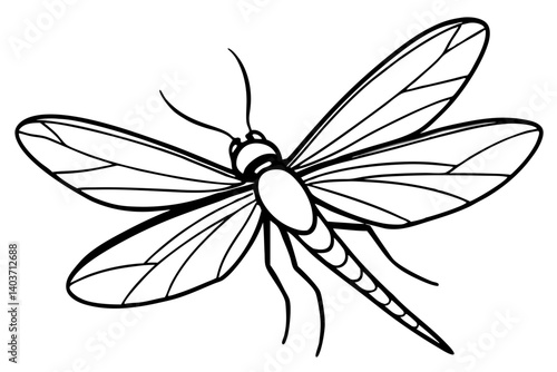 Mayfly Silhouette Sketch
