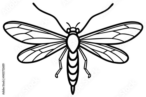 Mayfly Silhouette Sketch
