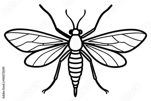 Mayfly Silhouette Sketch