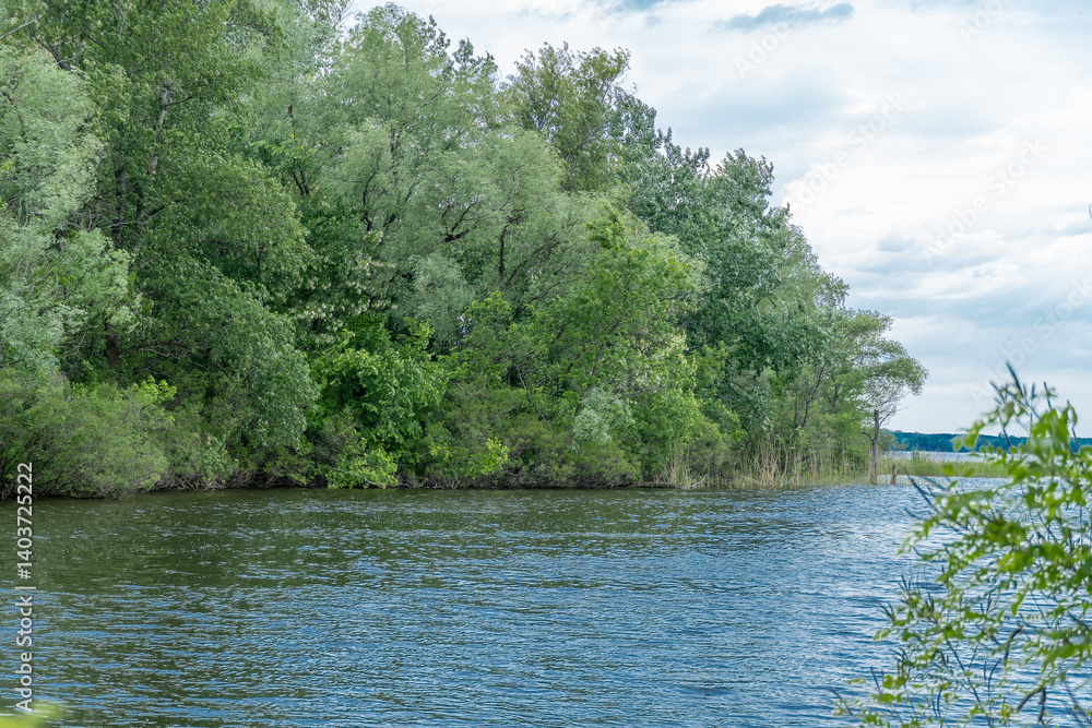 Spring view on picturesque river on natural park. Trees and plants water's edge with green rivershore. Landscape with lush foliage and dense grove on background. Atmospheric water in nature reserve. Spring view on picturesque river on natural park. Trees and plants water's edge with green rivershore. Landscape with lush foliage and dense grove on background. Atmospheric water in nature reserve.